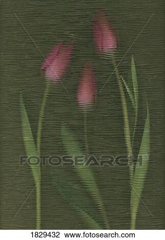 Pink tulips View Large Photo Image Stock Image - Pink tulips. Fotosearch