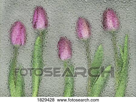 Stock Photo - Pink tulips. Fotosearch