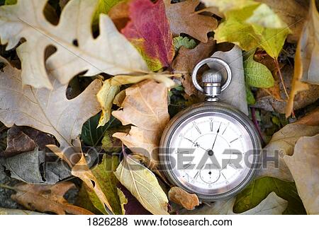 Stock Photo - Pocket watch on autumn leaves. Fotosearch