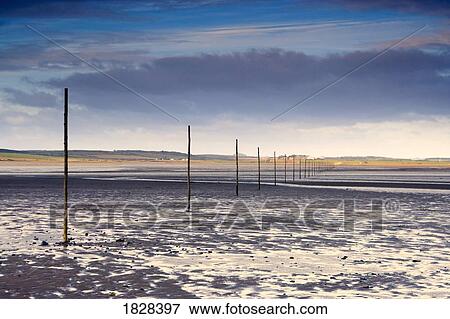 Stock Photo - Poles in water near Holy Island, Bewick, England. Fotosearch