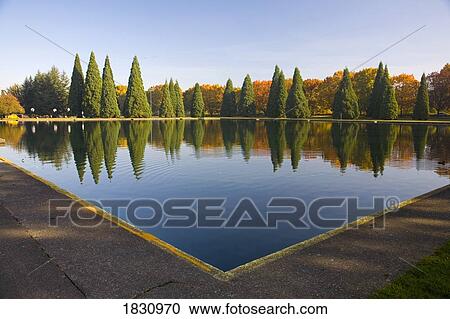 Pond in Eastmorland Park, Portland, Oregon, USA View Large Photo Image Stock Image - Pond in Eastmorland Park, Portland, Oregon, USA. Fotosearch