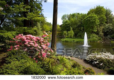 Stock Image - Portland, Oregon, USA. Fotosearch