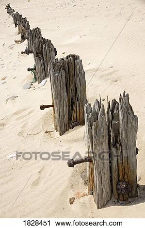 Posts in sand View Large Photo Image Stock Image - Posts in sand. Fotosearch