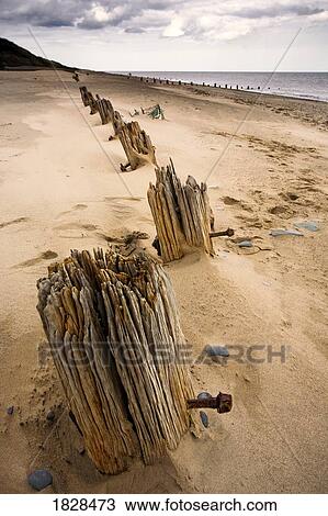 Posts in sand View Large Photo Image Stock Image - Posts in sand. Fotosearch