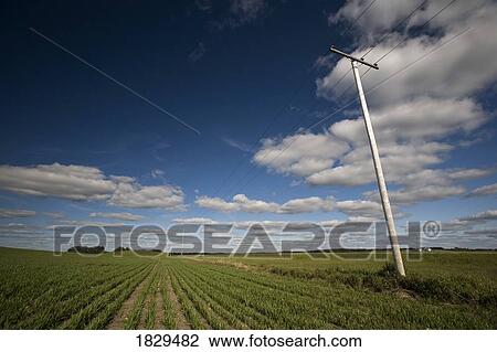 Stock Image - Power lines in a prairie field. Fotosearch