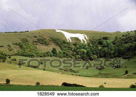 Prehistoric white horse carved into hillside, Oxfordshire, England View Large Photo Image Stock Photo - Prehistoric white horse carved into hillside, Oxfordshire, England. Fotosearch