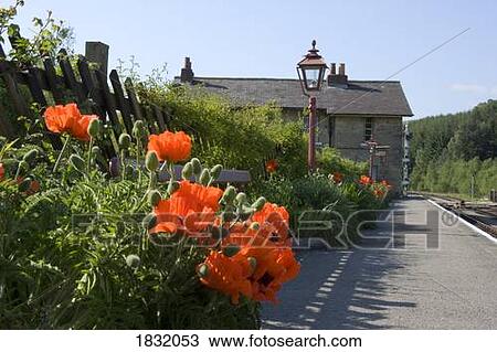 Stock Image - Railroad Station Platform At Goathland, North Yorkshire, England. Fotosearch