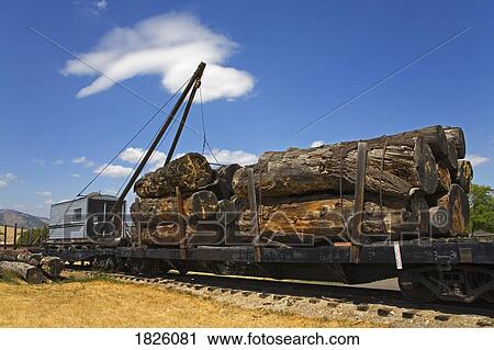 Stock Image - Railway, Fort Missoula Historical Museum, Missoula, Montana, USA . Fotosearch