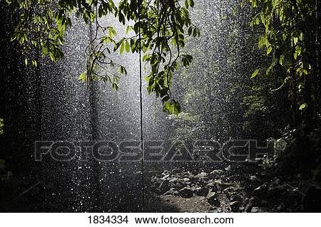 Picture - Rain forest waterfall, Belingen, Australia . Fotosearch