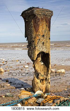 Stock Photography - Remnants of mooring post, Humberside, England. Fotosearch