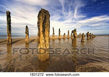 Remnants of moorings in water, Humberside, England View Large Photo Image Stock Image - Remnants of moorings in water, Humberside, England. Fotosearch