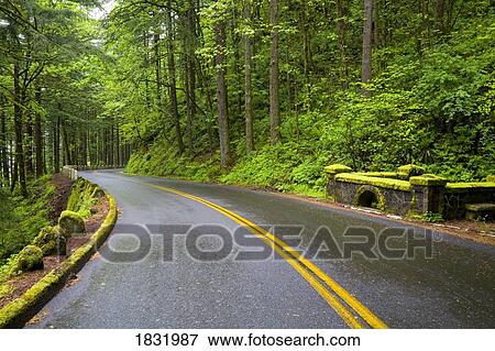 Stock Photo - Road, Columbia River Gorge, Oregon, USA. Fotosearch