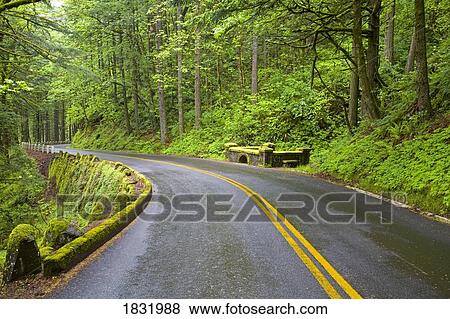 Stock Photo - Road, Columbia River Gorge, Oregon, USA. Fotosearch