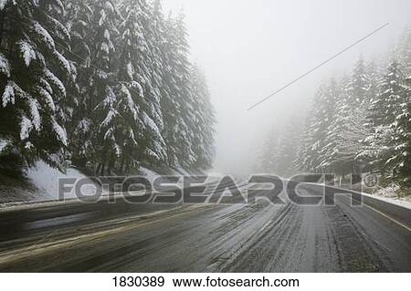 Road through forest, Oregon, USA View Large Photo Image Stock Photo - Road through forest, Oregon, USA. Fotosearch