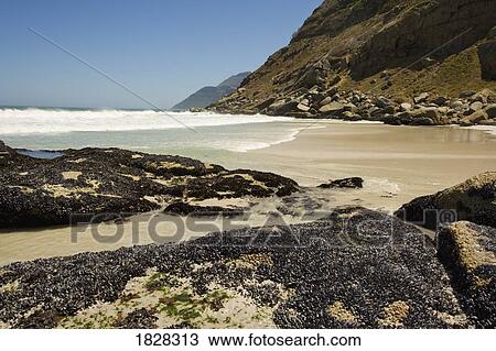 Rocks along the coast, South Africa View Large Photo Image Stock Image - Rocks along the coast, South Africa. Fotosearch
