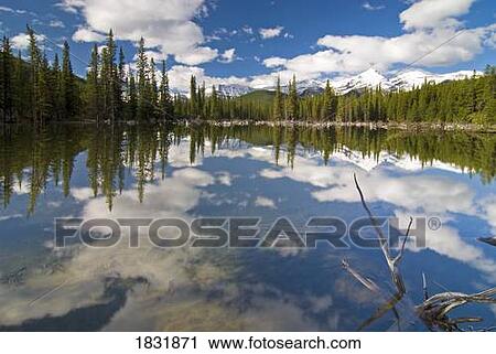 Stock Image - Rocky Mountains, Kananaskis, Alberta, Canada. Fotosearch