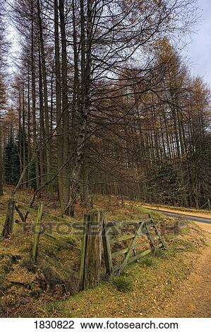 Stock Image - Rural fence. Fotosearch