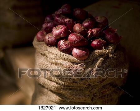 Sack of onions, Kerala, India View Large Photo Image Stock Image - Sack of onions, Kerala, India . Fotosearch