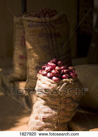 Sack of potatoes, Kerala, India View Large Photo Image Stock Image - Sack of potatoes, Kerala, India . Fotosearch