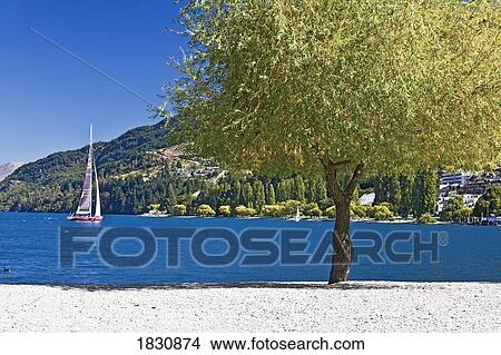 Picture - Sailboat, Lake Wakatipu, New Zealand. Fotosearch