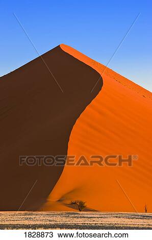 Sand dune, Sossuvlei, Namib Desert, Namibia, Africa View Large Photo Image Stock Image - Sand dune, Sossuvlei, Namib Desert, Namibia, Africa. Fotosearch