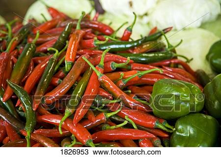 Sandakan Market, Borneo, Sabah, Malaysia, Southeast Asia View Large Photo Image Stock Image - Sandakan Market, Borneo, Sabah, Malaysia, Southeast Asia . Fotosearch