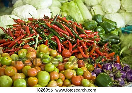 Sandakan Market, Borneo, Sabah, Malaysia, Southeast Asia View Large Photo Image Stock Photography - Sandakan Market, Borneo, Sabah, Malaysia, Southeast Asia . Fotosearch