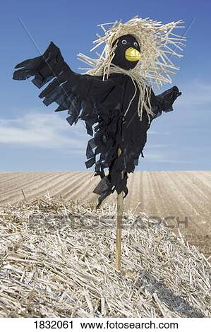 Stock Image - Scarecrow In A Field. Fotosearch