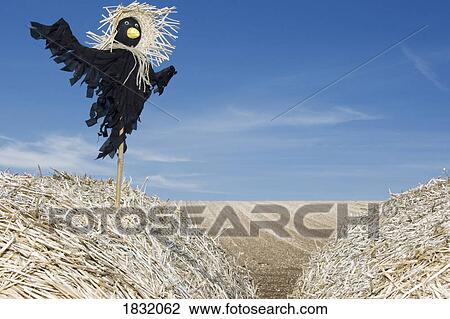 Stock Image - Scarecrow In A Field. Fotosearch