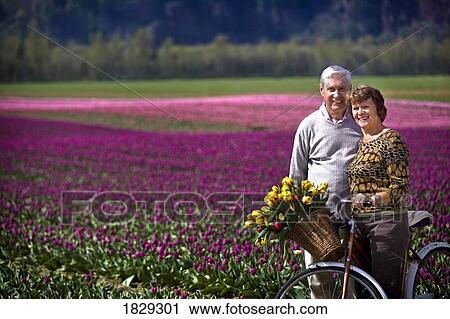 Stock Image - Senior couple with tulips in bicycle basket. Fotosearch