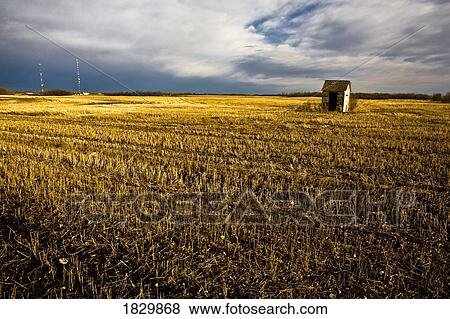 Shack in field View Large Photo Image Stock Photo - Shack in field. Fotosearch
