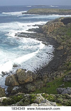 Shoreline, Flinders Chase national park, Kangaroo Island, Australia View Large Photo Image Stock Photo - Shoreline, Flinders Chase national park, Kangaroo Island, Australia . Fotosearch