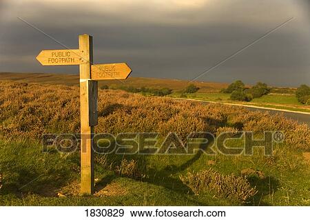 Stock Photo - Signpost, North Yorkshire, England. Fotosearch