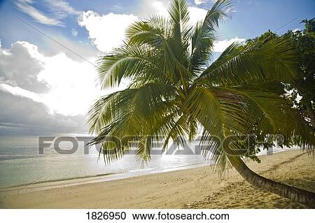 Sipadan Island, Sabah, Malaysian Borneo, Malaysia, Southeast Asia View Large Photo Image Stock Image - Sipadan Island, Sabah, Malaysian Borneo, Malaysia, Southeast Asia . Fotosearch