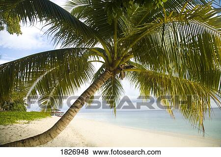 Stock Photo - Sipadan Island, Sabah, Malaysian Borneo, Malaysia, Southeast Asia . Fotosearch