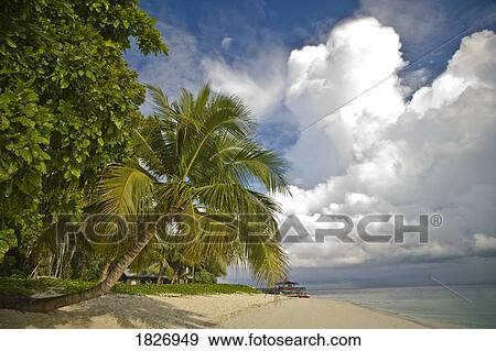 Sipadan Island, Sabah, Malaysian Borneo, Malaysia, S. E. Asia View Large Photo Image Stock Photo - Sipadan Island, Sabah, Malaysian Borneo, Malaysia, S. E. Asia . Fotosearch