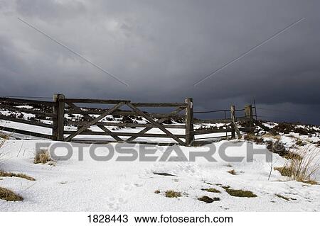 Snowy field and fence, Weardale, England View Large Photo Image Stock Image - Snowy field and fence, Weardale, England. Fotosearch