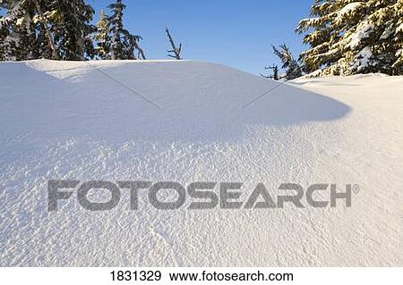 Stock Photo - Snowy hill, Cascade Mountains, Oregon, USA. Fotosearch