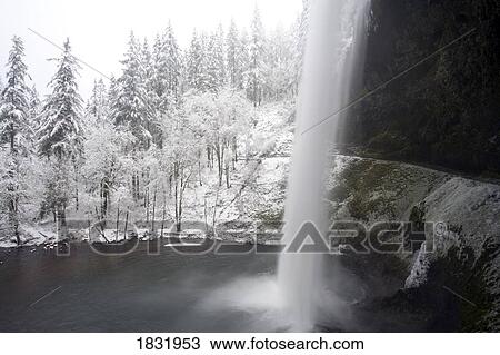 Stock Image - South Silver Falls, Silver Falls State Park, Oregon, USA. Fotosearch