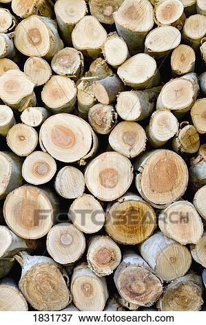 Stack of firewood View Large Photo Image Stock Photo - Stack of firewood . Fotosearch