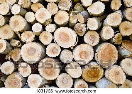 Stock Photograph - Stack of firewood . Fotosearch