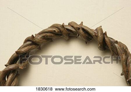 Sticks arranged in circular shape View Large Photo Image Stock Photo - Sticks arranged in circular shape. Fotosearch