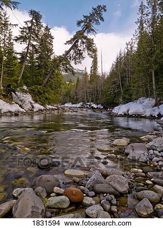 Stream, Whistler, British Columbia, Canada View Large Photo Image Picture - Stream, Whistler, British Columbia, Canada. Fotosearch