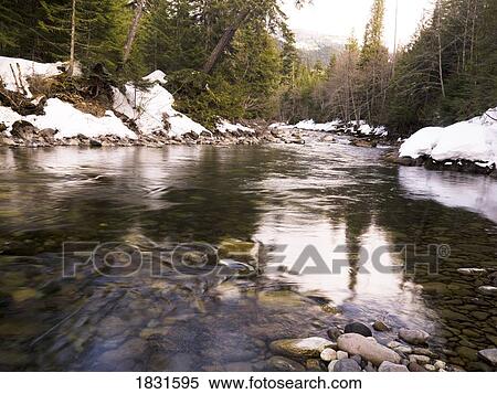 Stock Photography - Stream, Whistler, British Columbia, Canada. Fotosearch
