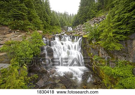Sunbeam Falls, Mount Rainier National Park, Washington, USA View Large Photo Image Stock Photo - Sunbeam Falls, Mount Rainier National Park, Washington, USA . Fotosearch