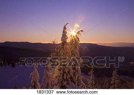 Stock Photo - Sunrise, Cascade Mountains, Oregon, USA. Fotosearch
