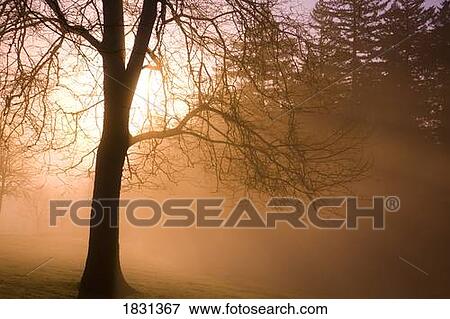 Sunrise, Happy Valley, Oregon, USA View Large Photo Image Stock Photo - Sunrise, Happy Valley, Oregon, USA. Fotosearch