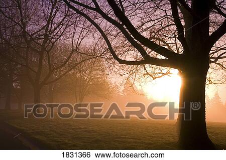 Stock Photograph - Sunrise, Happy Valley, Oregon, USA. Fotosearch