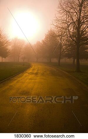 Sunrise over country road, Oregon, USA View Large Photo Image Stock Image - Sunrise over country road, Oregon, USA. Fotosearch