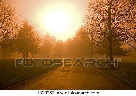 Sunrise over country road, Oregon, USA View Large Photo Image Stock Image - Sunrise over country road, Oregon, USA. Fotosearch